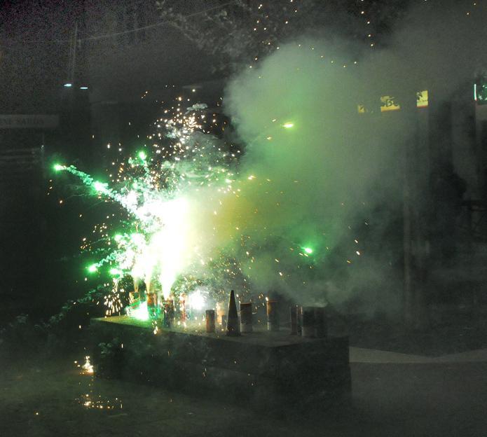 Gli animalisti di Macomer: «Il sindaco vieti i petardi» 