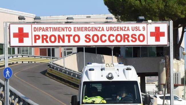Padre e due figlie contro un pino Bimbe al Misericordia