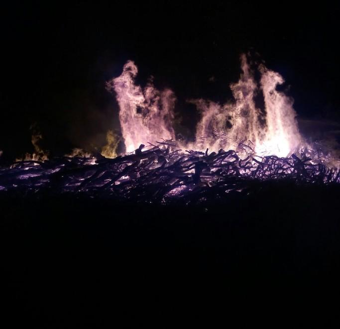 Incendio distrugge 500 tonnellate di legna