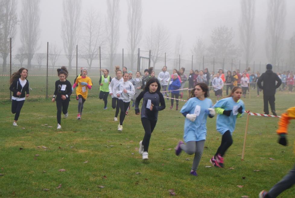 Ecco singoli e scuole sul podio agli studenteschi di campestre 