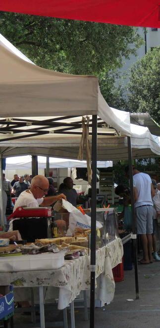 Fiva: «Futuro sempre incerto per gli ambulanti»