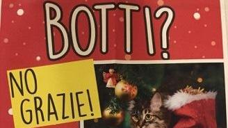 Niente scoppi per la fine dell’anno tuteliamo cani e gatti