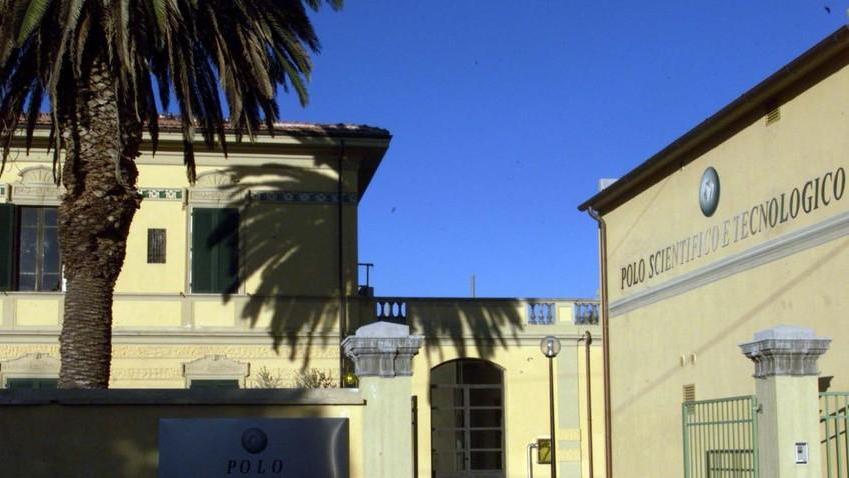 Furto al Polo scientifico e “spaccata” all’edicola, le notti “brave” dei ladri