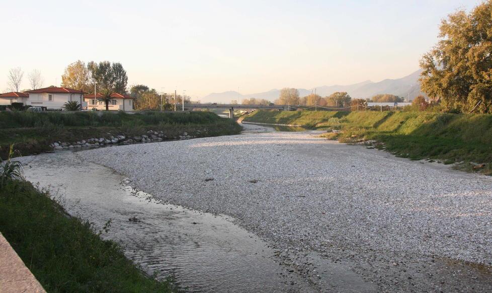«Rischio tracimazione per il Versilia»