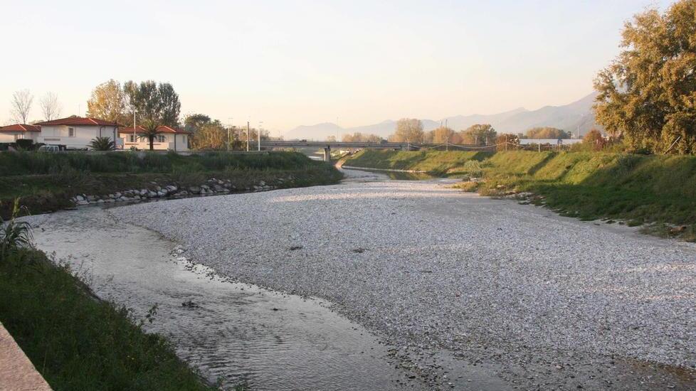 «Rischio tracimazione per il Versilia»