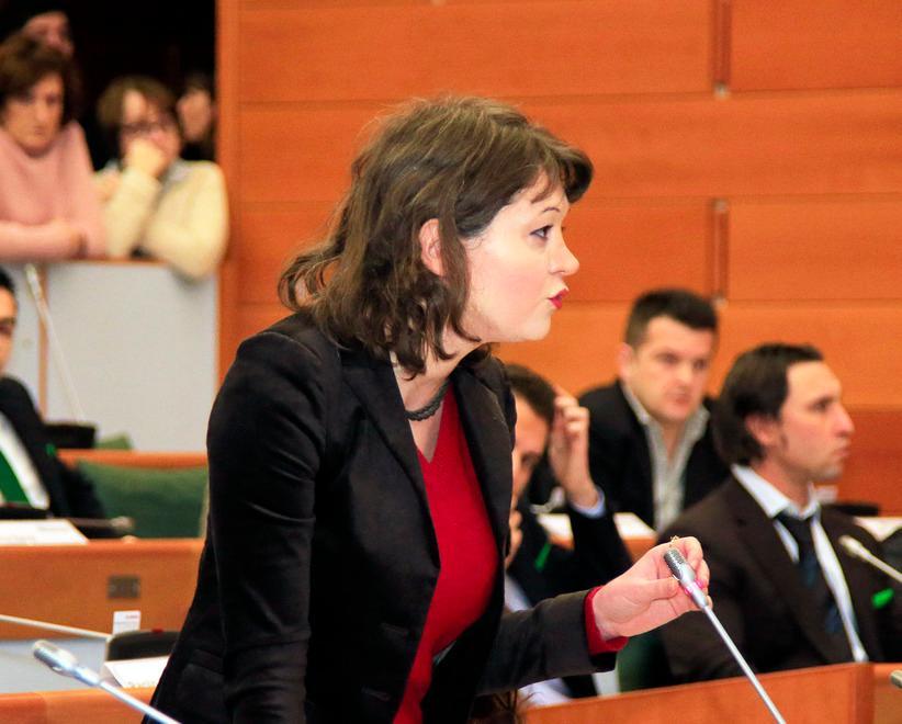  Stipendi decisi dai dirigenti M5S: Procedure da annullare