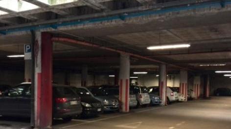 «Per fermare i grafomani basterebbe la telecamera»