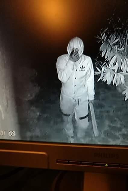Ladro filmato mentre assalta una casa