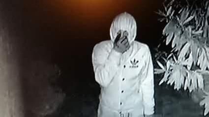 Ladro filmato mentre assalta una casa