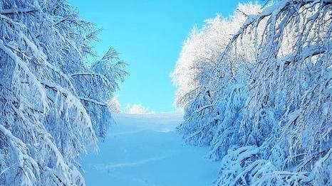 Il 2018 veste bianco: boom di sciatori e piste prese d’assalto