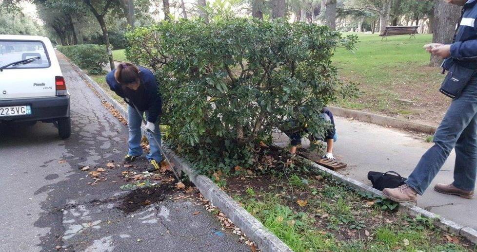 Operai al lavoro per le opere di ripulitura delle caditoie dalle foglie e dalla terra accumulata 
