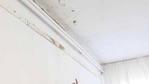 «Infiltrazioni nella scuola Nuovo plesso a Marcignana»