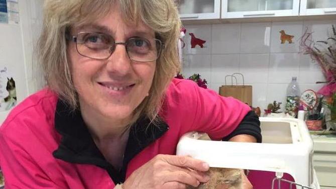 Il record di Micia, che vive all’aperto da... trent’anni