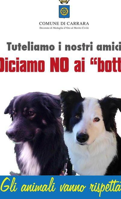 Un appello per tutelare gli amici a quattro zampe
