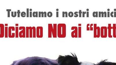 Un appello per tutelare gli amici a quattro zampe