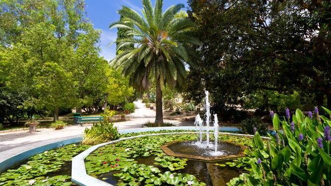 Visita all’Orto botanico Meraviglie e relax nel centro di Cagliari 