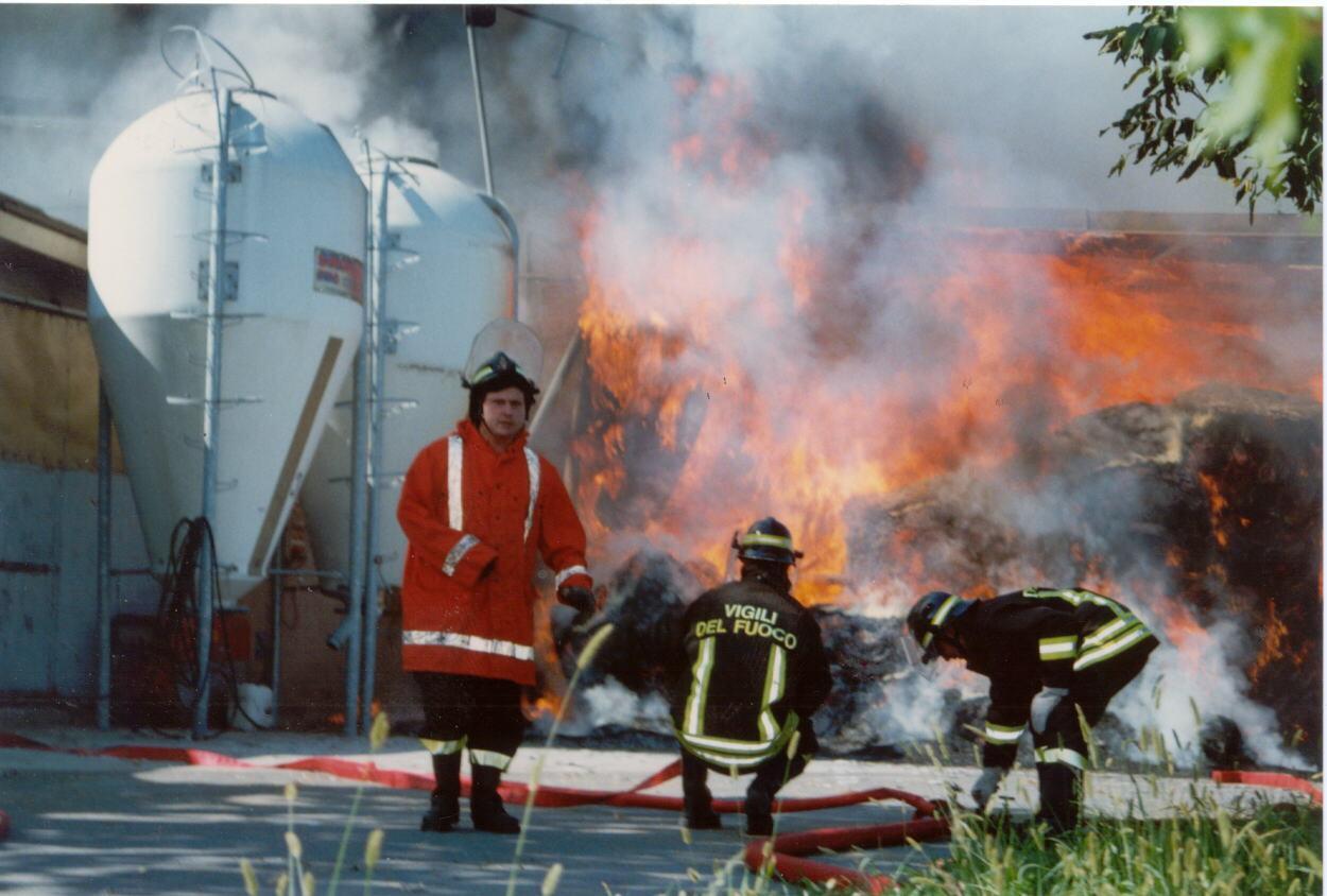 Reggiolo, incendio nell'azienda agricola: morti nove vitellini 