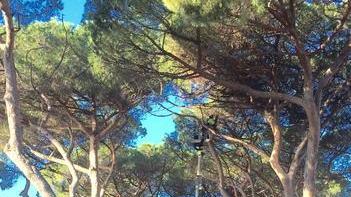 Due nuovi pozzi nel progetto Piu Ways autorizzati i sondaggi