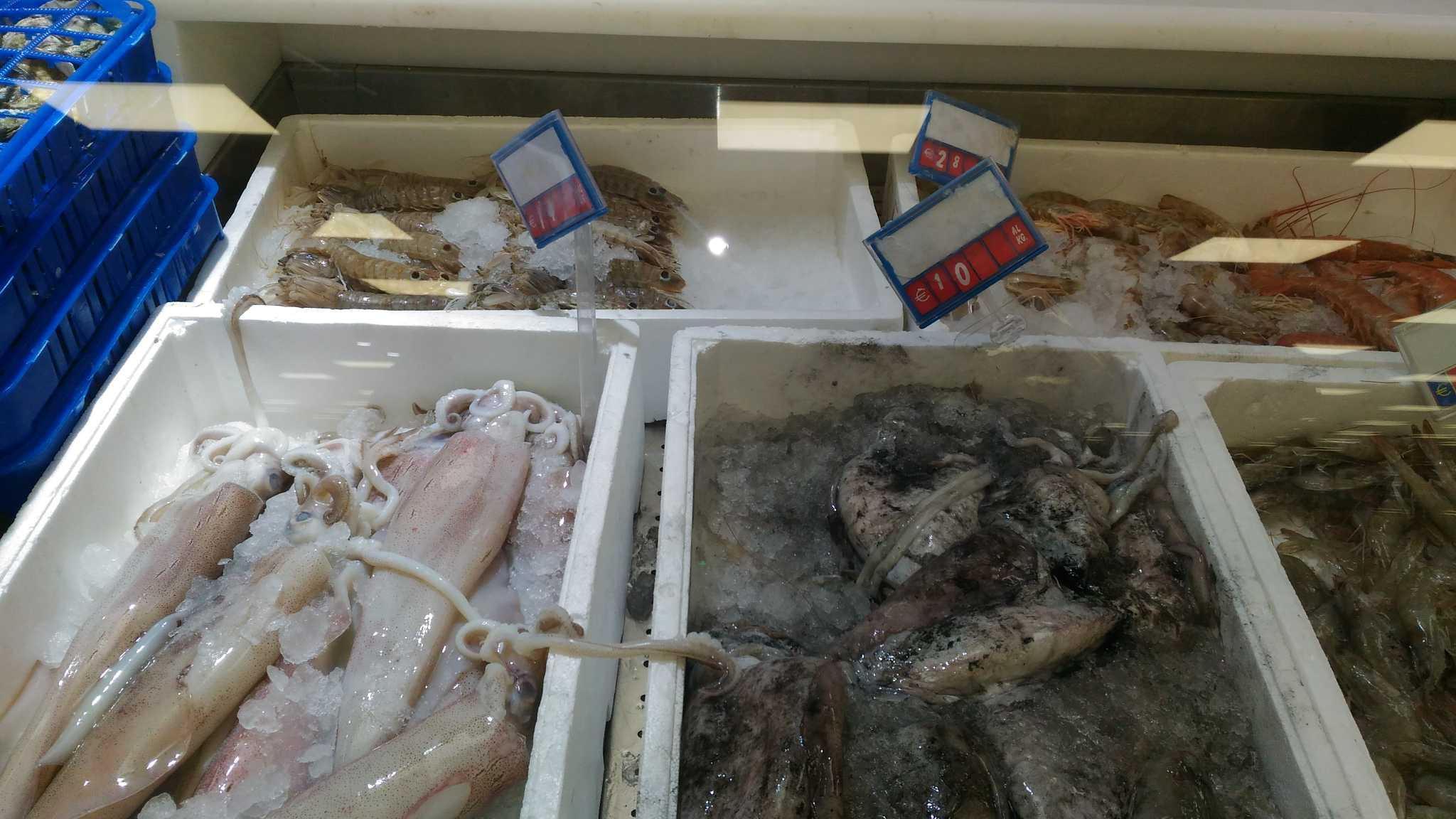 Sequestrati 263 chili di pesce diretti in Toscana