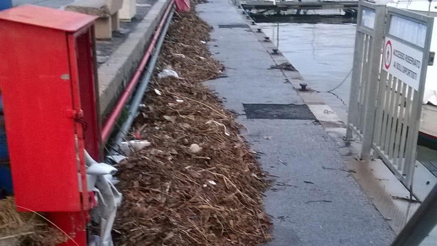 La banchina lungo il Burlamacca