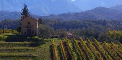 Il boom delle aziende bio Raddoppiate in 10 anni 