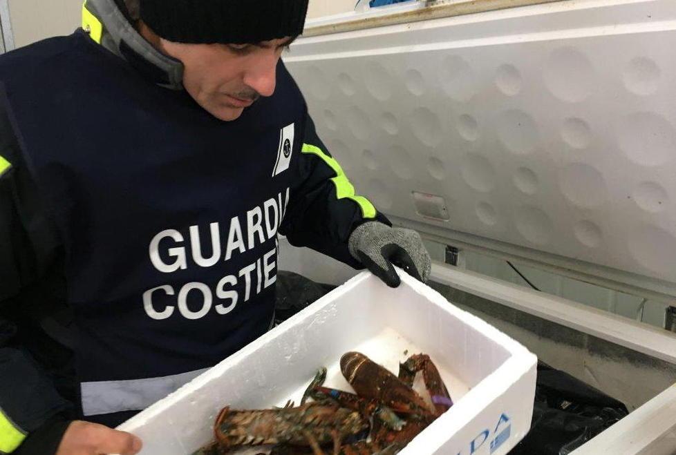 Sequestrati 140 chilogrammi di pesce 