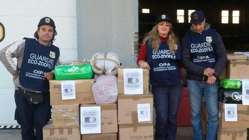 Le guardie Oipa raccolgono cibo per i cani randagi del Sud