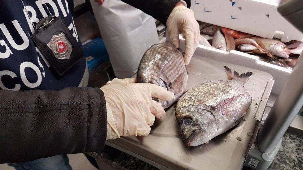 Ristorante fuori regola chiuso dalla capitaneria