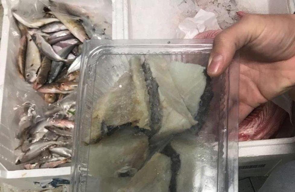 Sessanta chili di cibo sequestrati in un ristorante 