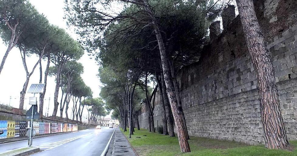Mura pisane: da febbraio nuovi lavori 