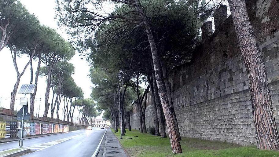 Mura pisane: da febbraio nuovi lavori