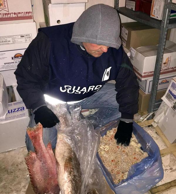Sequestro di pesce e attrezzatura con multe per 12mila euro 