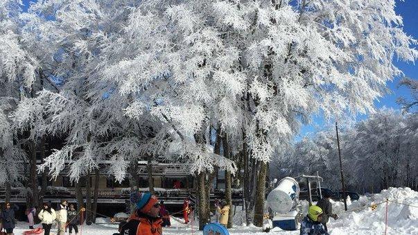 Confesercenti «La montagna amiatina fa la sua parte»