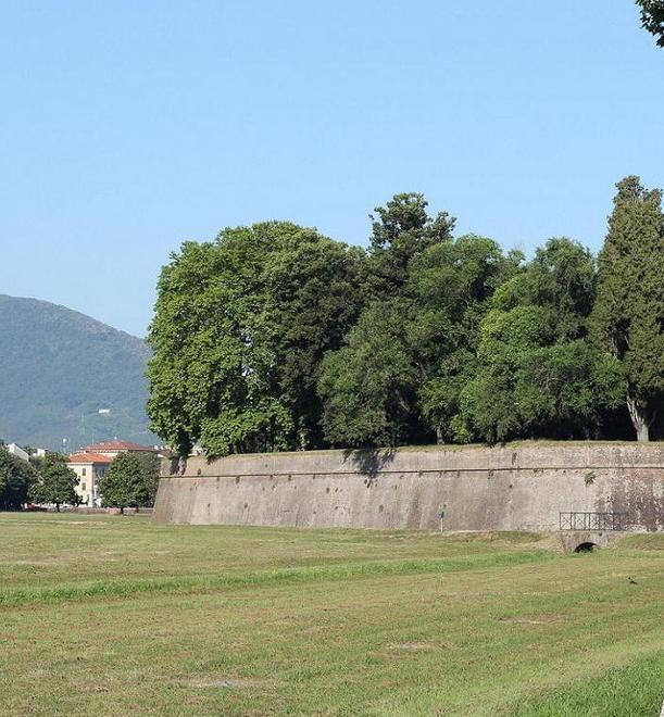 Art Bonus, restyling Mura in gara 