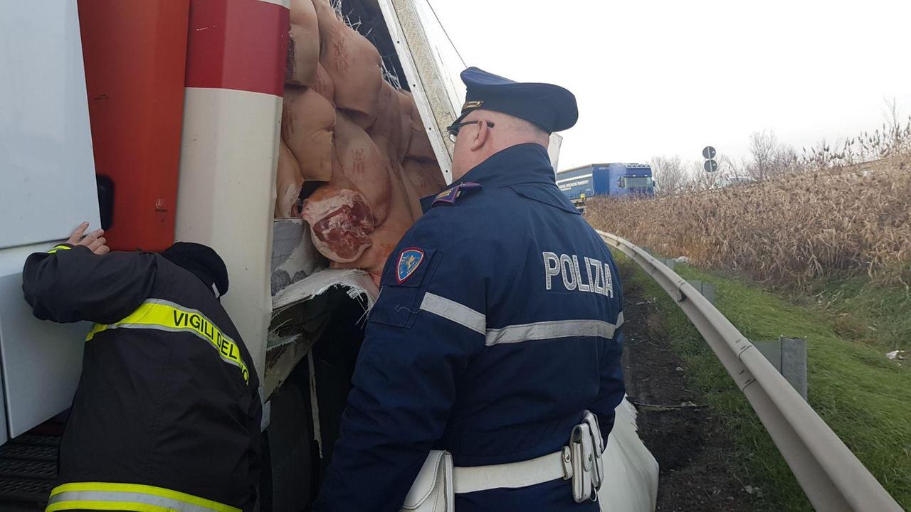 Tangenziale Modena, camion carico di carne di maiale esce di strada