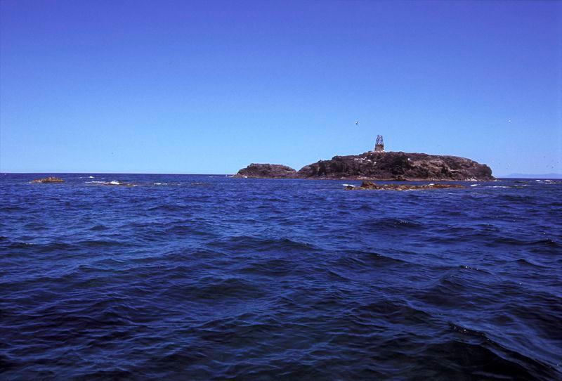 Lo scoglio del Catalano (Foto Area marina Sinis-Mal di Ventre)
