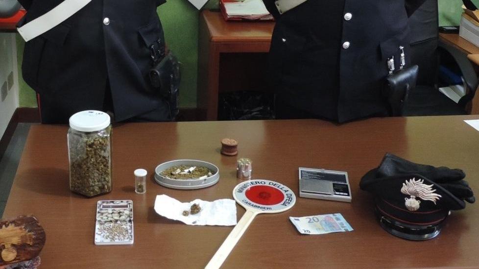Marijuana nascosta nei vasi: arrestato