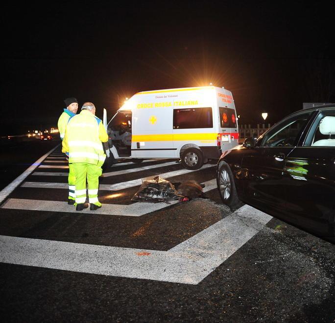 Nel dicembre 2016 6 auto danneggiate e 8 animali morti 