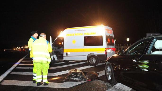 Nel dicembre 2016 6 auto danneggiate e 8 animali morti