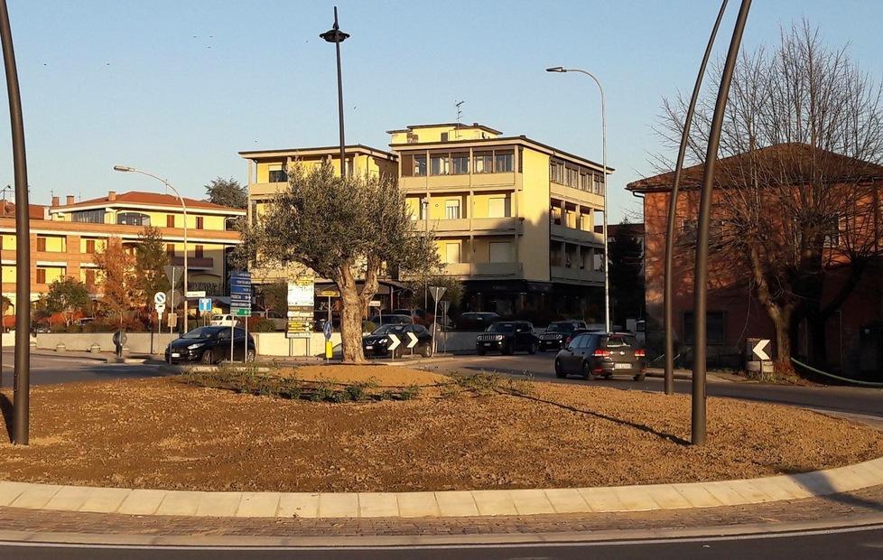 Magnolie e non solo Ad Altopascio scatta “l’operazione verde” 