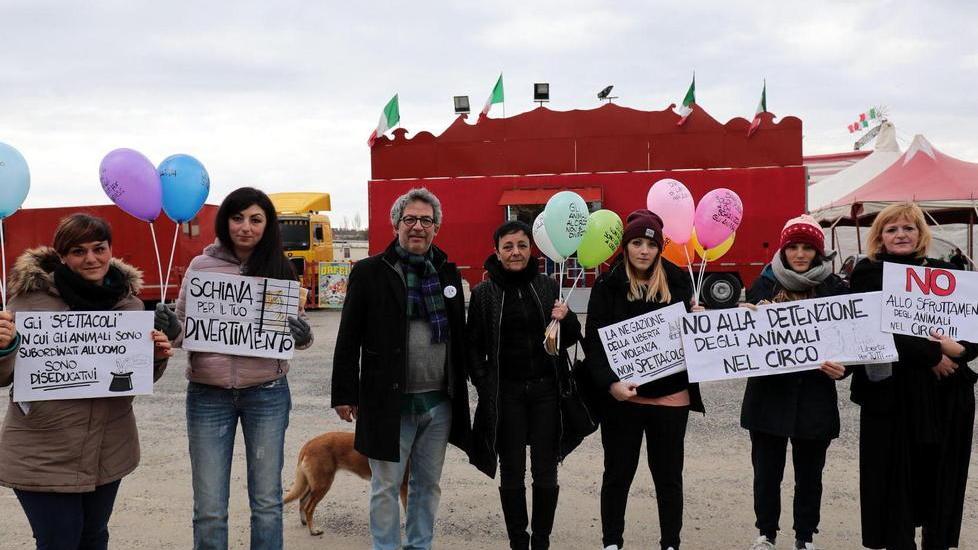 Sit-in contro il circo con gli animali a Empoli - Foto