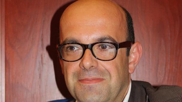 Il caso dei cinghiali abbattuti «La Pistoni si tradisce da sola»