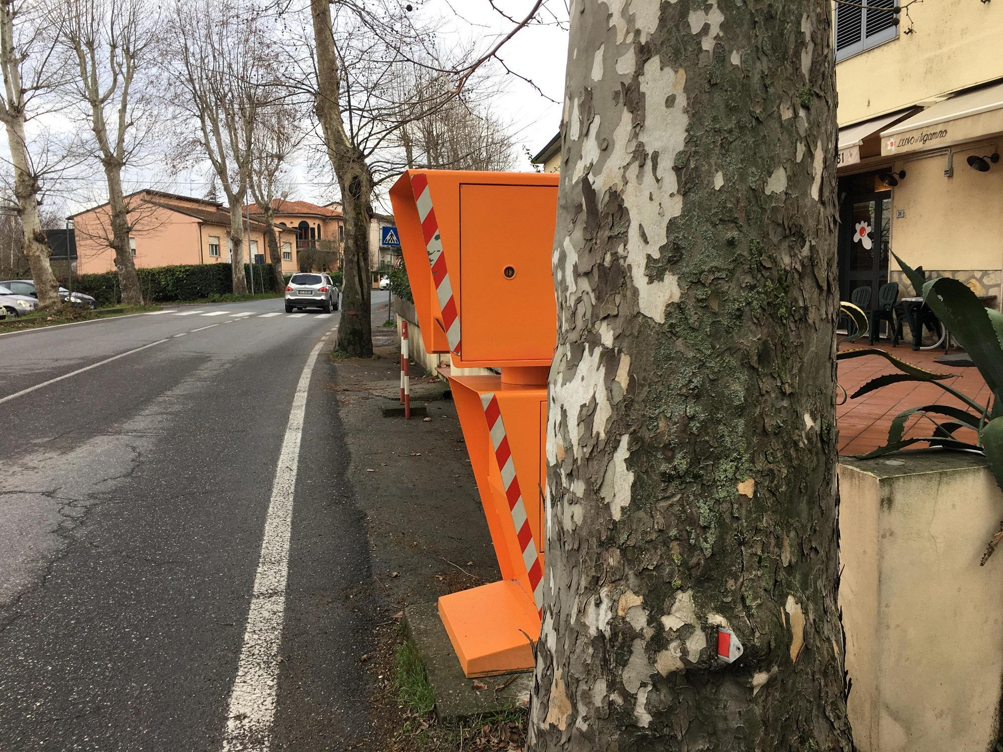 Autobox installato dietro un albero