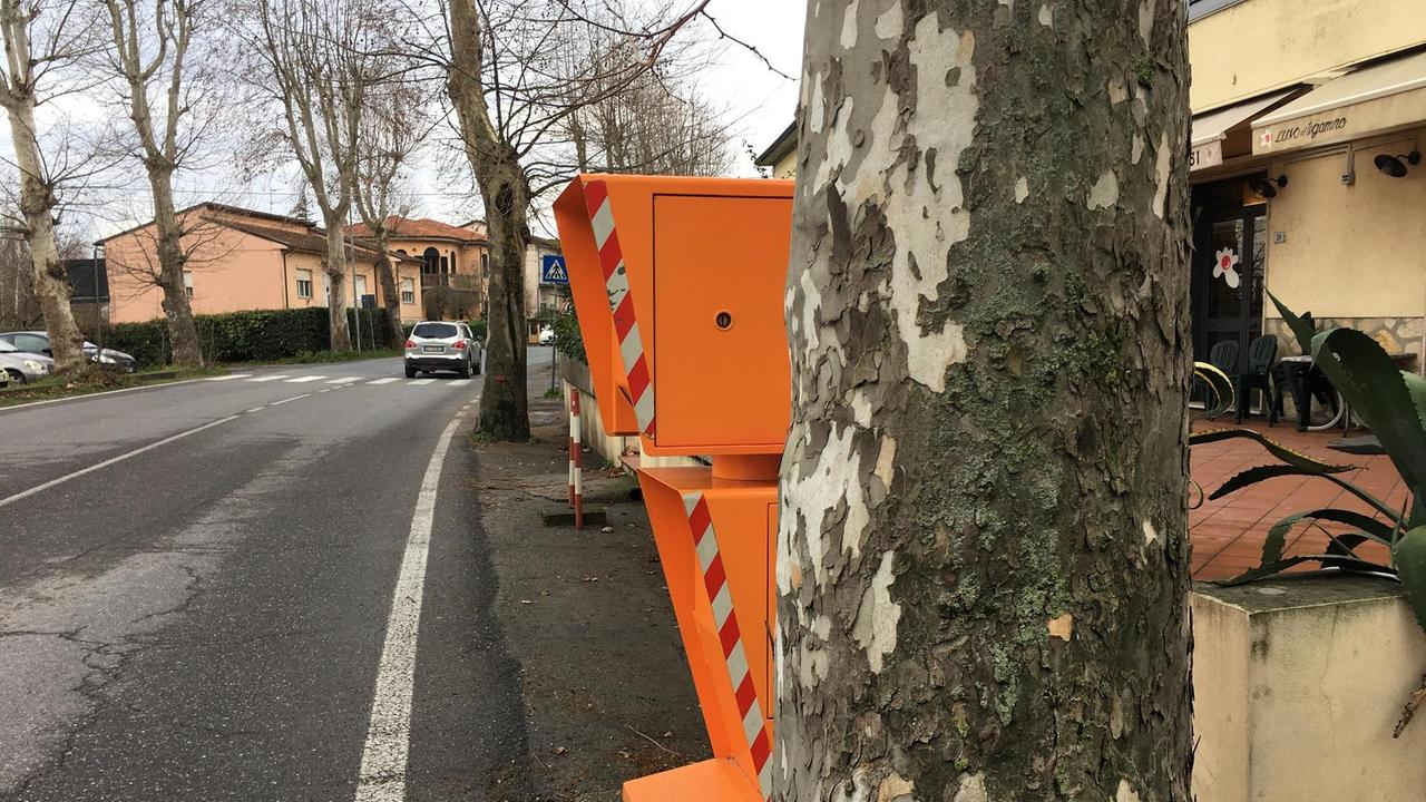 Autobox installato dietro un albero