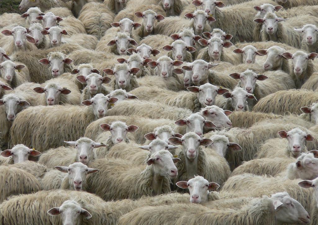In tavola da più di duemila anni 