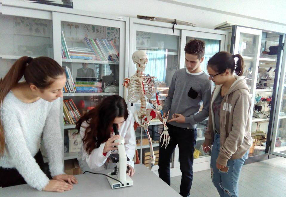 Il laboratorio biomedico del Livi