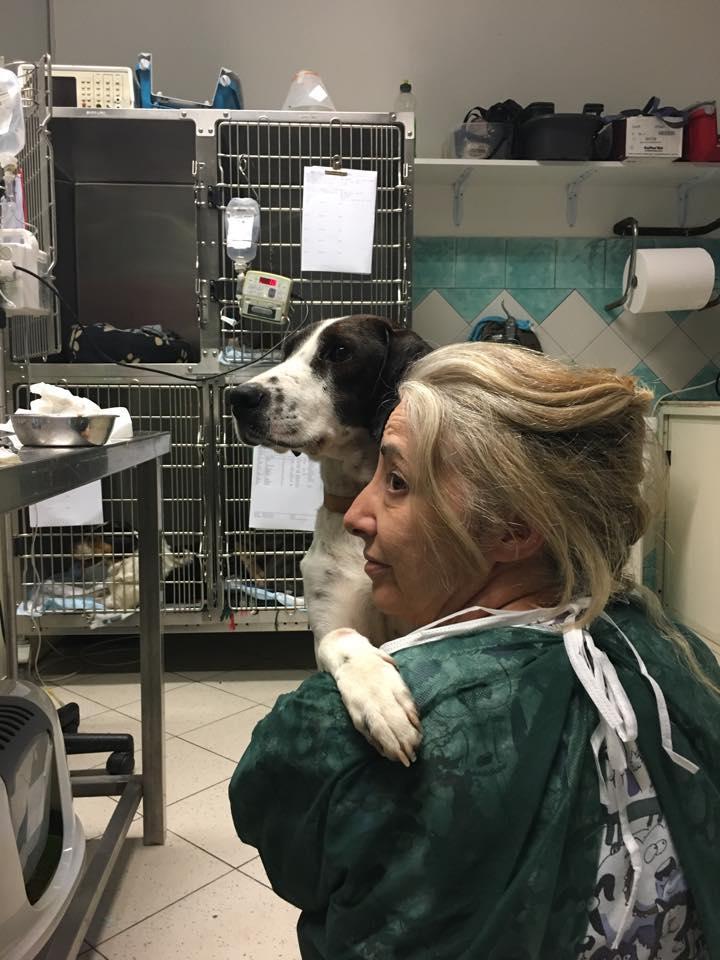 Il cane Freccia con la veterinaria Monica Pais