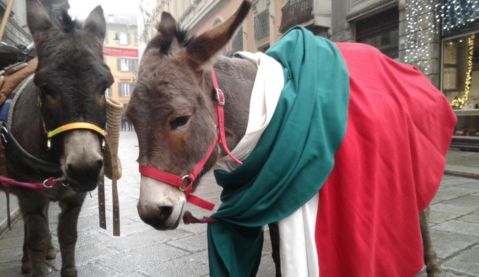 la regina della giornata