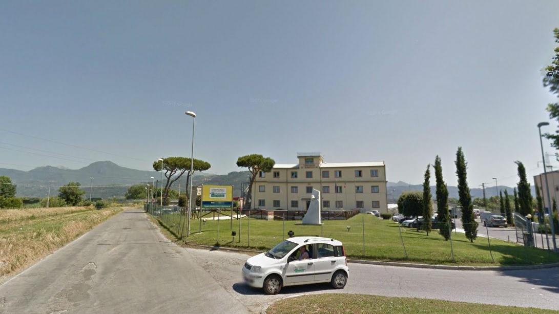Cade dal camion e si rompe una gamba