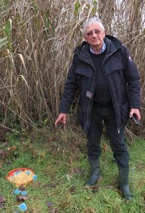 Ciotola col veleno per topi nell’erba